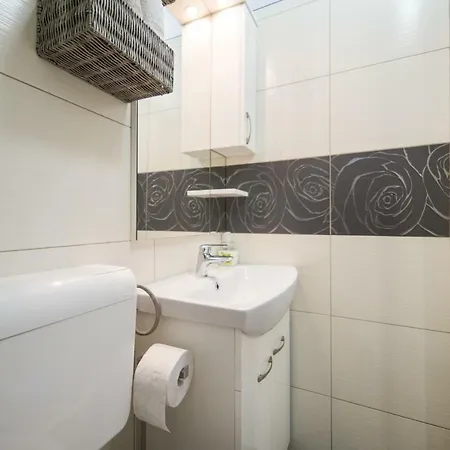 Apartamento Studio Finta Rogotin