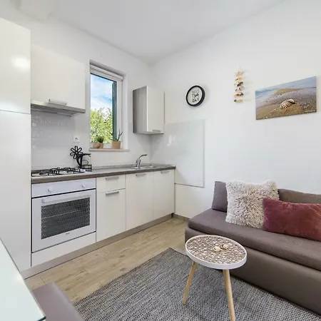 Apartment Studio Finta Rogotin